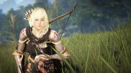 Image d'illustration pour l'article : E3 2019 : Black Desert Online sur PS4, c'est pour cette année
