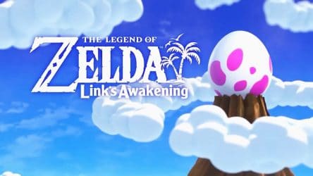 Image d'illustration pour l'article : E3 2019 : Link's Awakening aura droit à deux collectors sur Switch