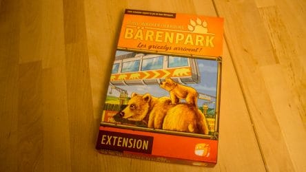 Image d'illustration pour l'article : Les Grizzlys arrivent du côté de Bärenpark