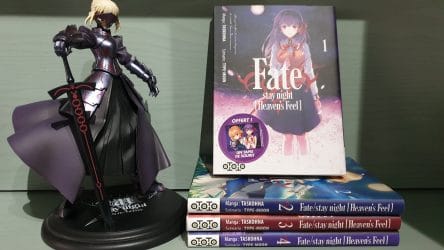 Image d'illustration pour l'article : Fate/Stay Night - Heaven's Feel : Présentation et avis sur le manga de chez Ototo