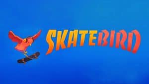 Skatebird epic