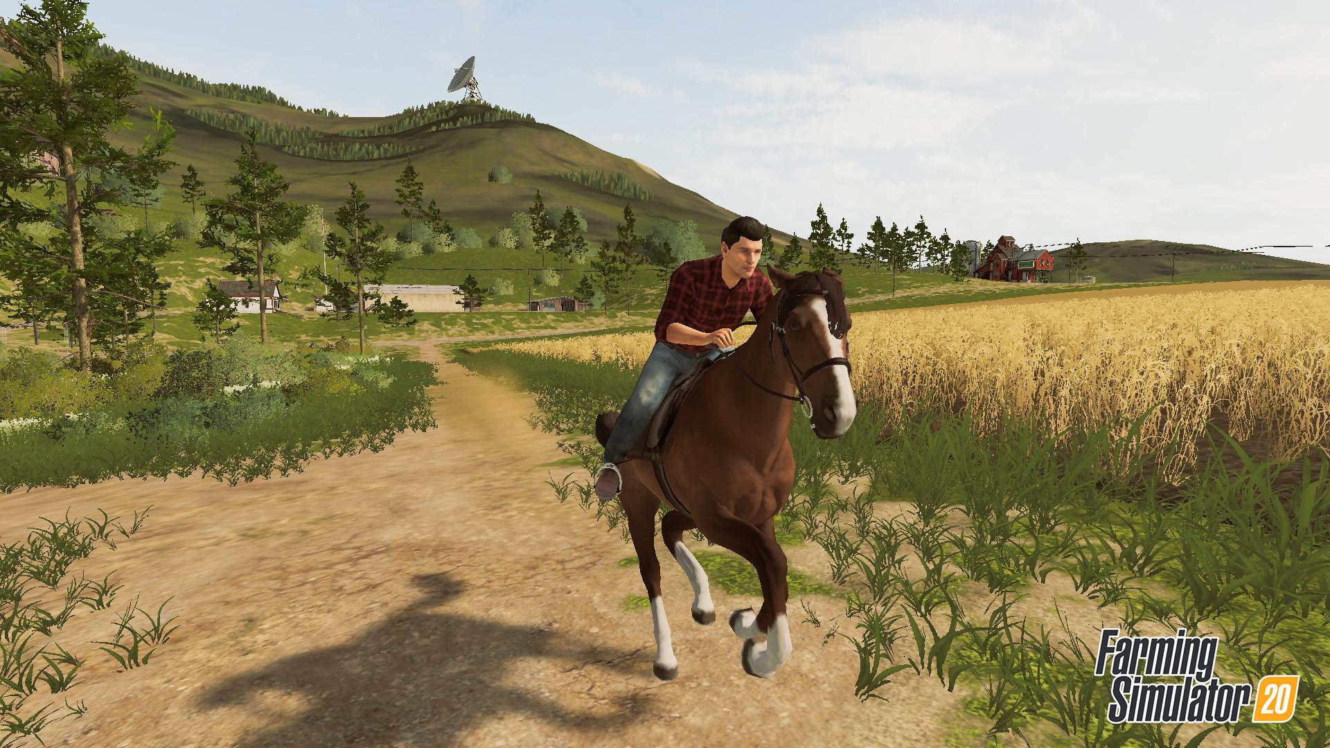 Farming simulator 20 switch screenshoot cheval