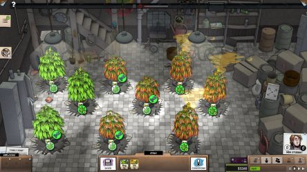 Image d'illustration pour l'article : Comment fonctionne le système nutritionnel ? - Weedcraft Inc