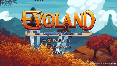 Image d'illustration pour l'article : Evoland : Legendary Edition aura droit à son édition physique sur Switch