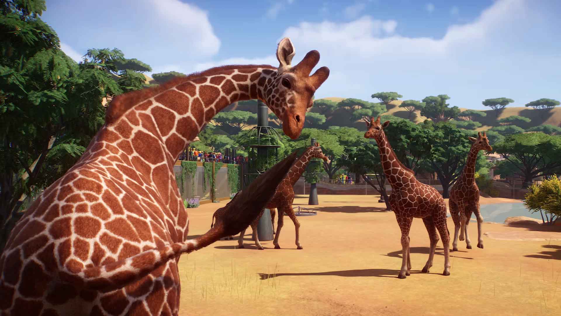 Planet zoo girafes
