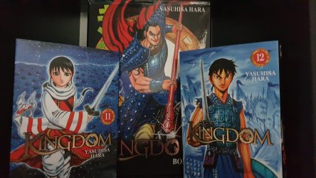 Image d'illustration pour l'article : Kingdom : Présentation et avis sur la Box 2 de Meian