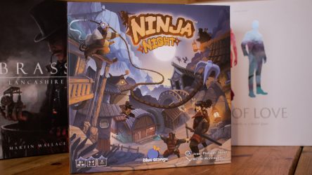 Image d'illustration pour l'article : Ninja Night - De toits en toits