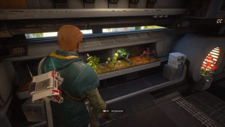 Image d'illustration pour l'article : Toutes les graines pour le Terrarium - Star Wars Jedi Fallen Order