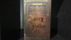 Image d'illustration pour l'article : Dans les coulisses des jeux vidéo Harry Potter : Présentation et avis sur le livre de Pix’n Love