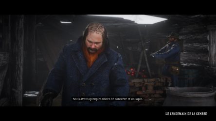 Image d'illustration pour l'article : Le lendemain de la Genèse - Red Dead Redemption 2