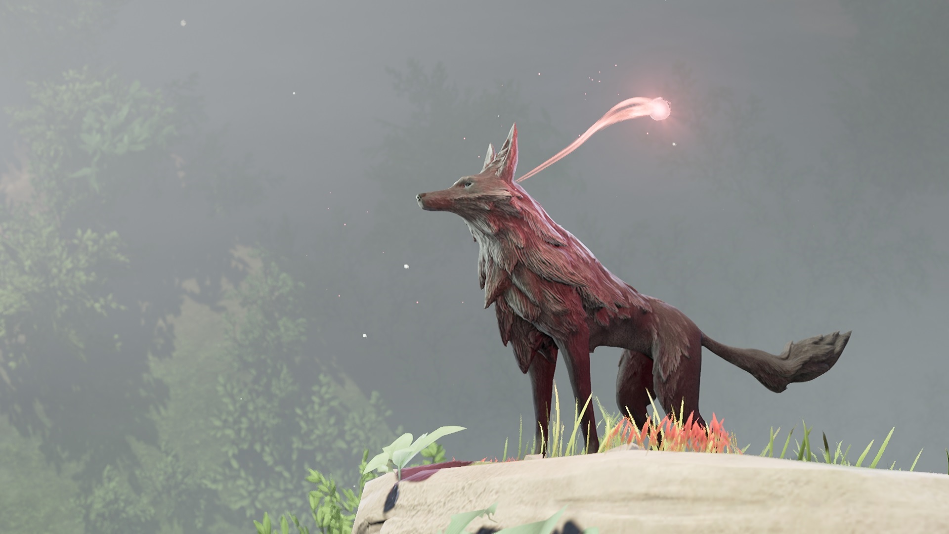 lost ember louve