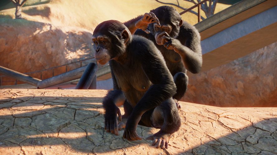 Planet zoo chimpanzés