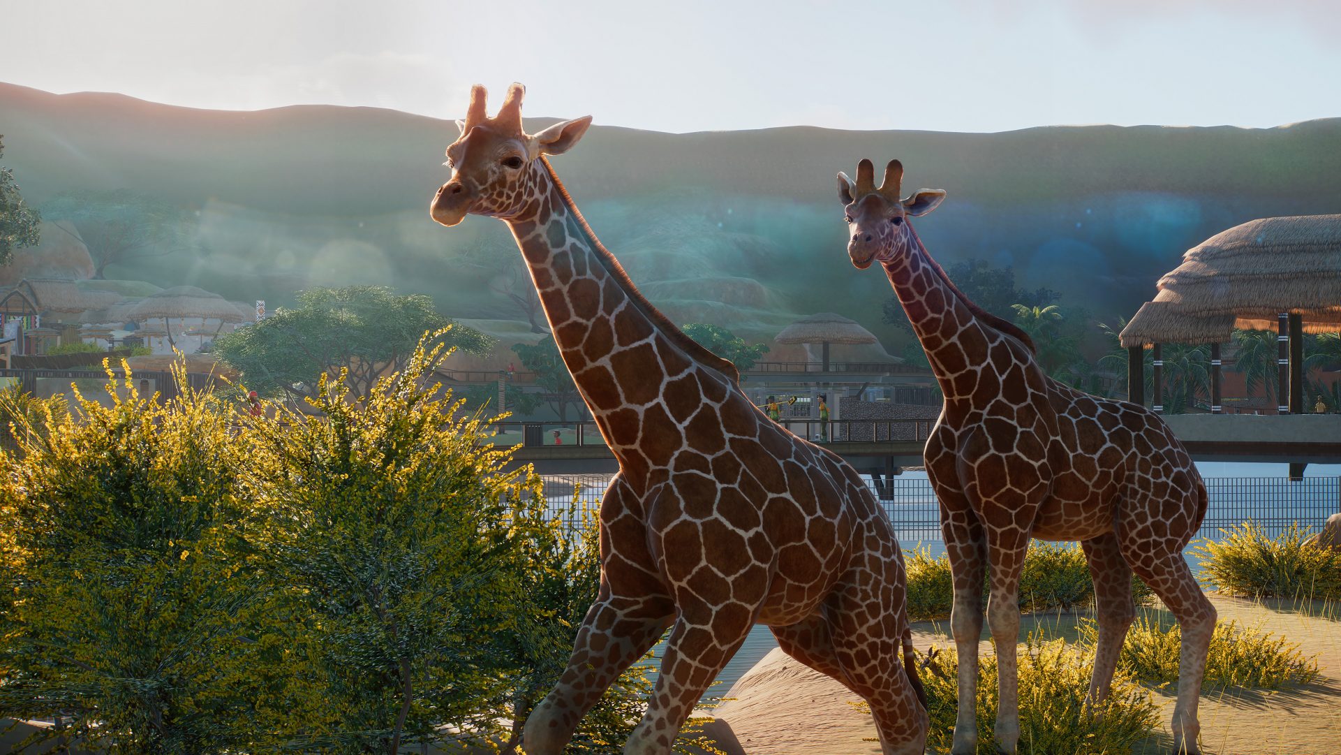 Planet Zoo girafes
