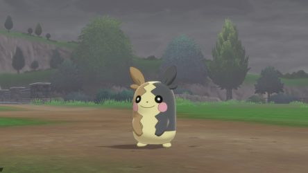 Image d'illustration pour l'article : Où trouver Morpeko - Pokémon Épée / Bouclier