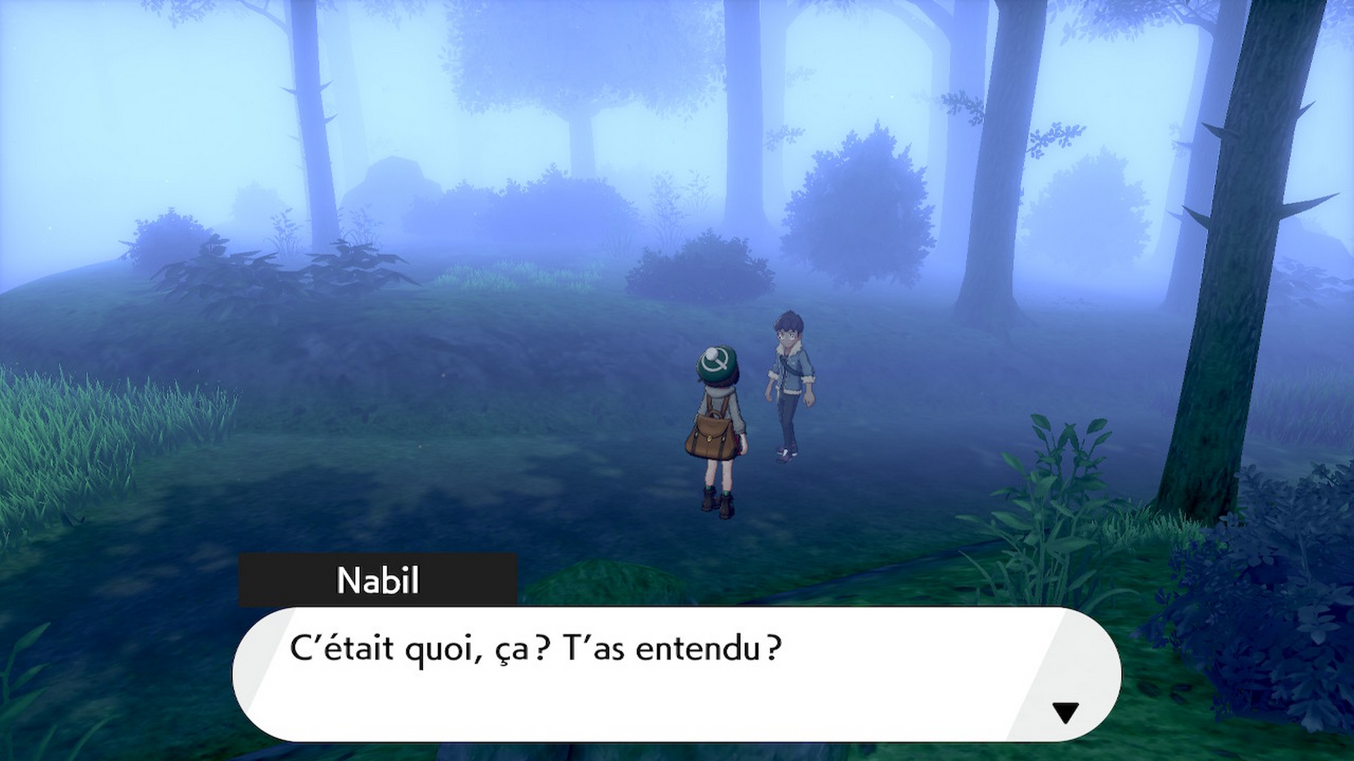 Pokémon bouclier épée soluce forêt de sleepwood grognements