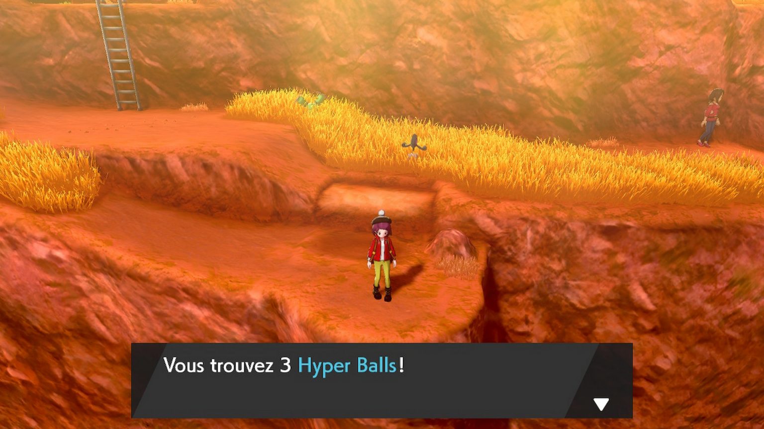 La route 6 - Pokémon Épée / Bouclier | Soluce