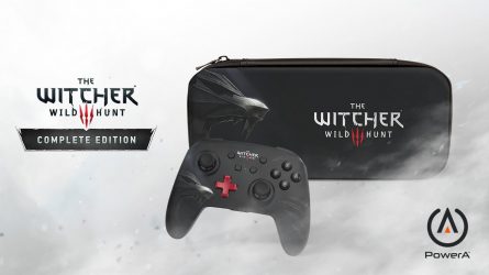 Image d'illustration pour l'article : Une manette et une housse The Witcher 3 pour Switch