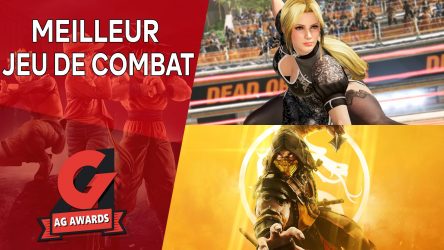 Image d'illustration pour l'article : AG Awards 2019 : Votez pour le meilleur jeu de Combat