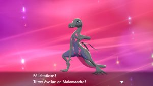 Image d'illustration pour l'article : Obtenir Tritox et Malamandre – Pokémon Épée et Bouclier