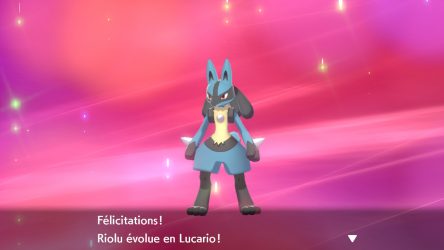 Image d'illustration pour l'article : Obtenir Riolu et Lucario - Pokémon Épée et Bouclier