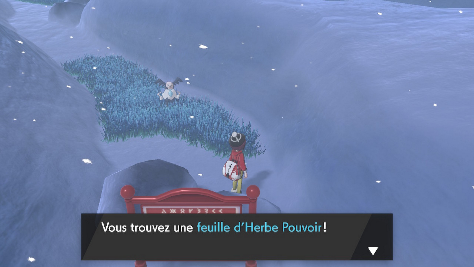 Pokémon épée bouclier soluce route 10 herbe pouvoir