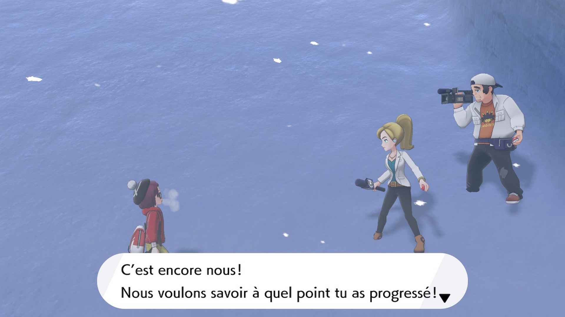 Pokémon épée bouclier soluce route 10 combat double