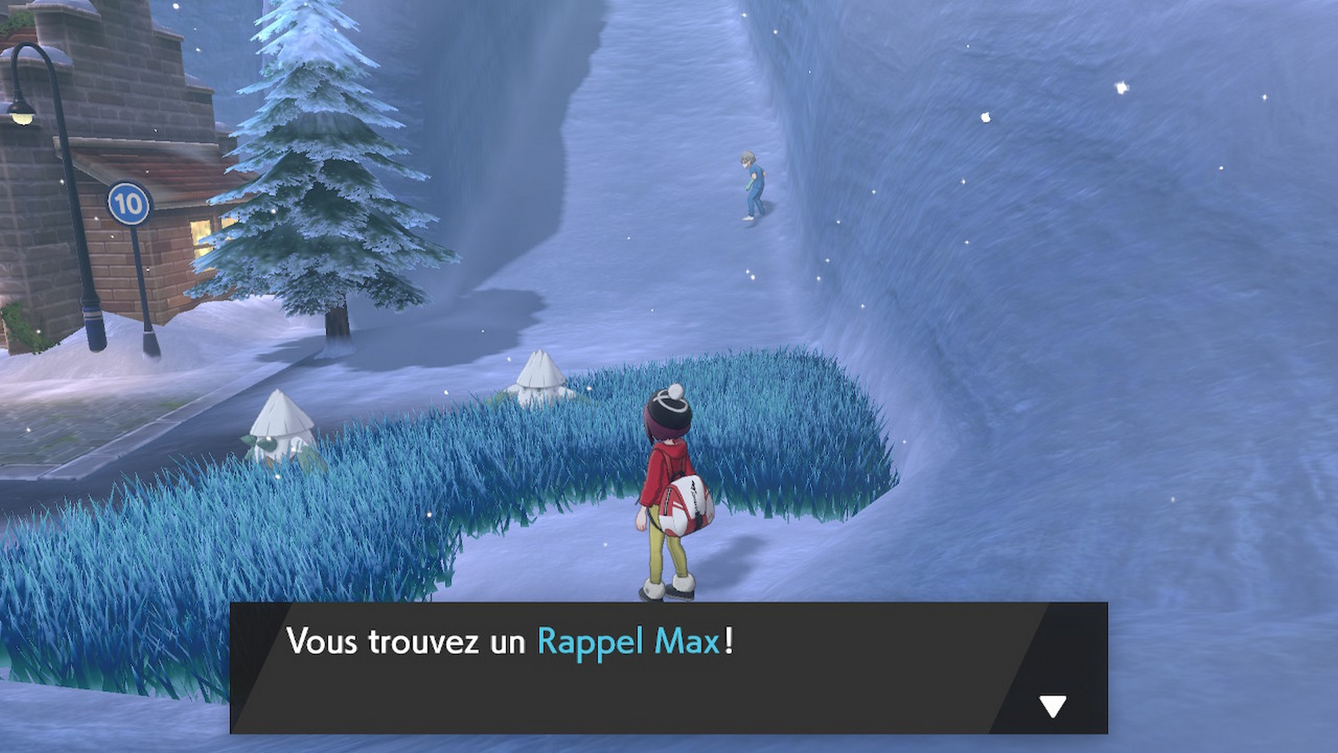 Pokémon épée bouclier soluce route 10 rappel max