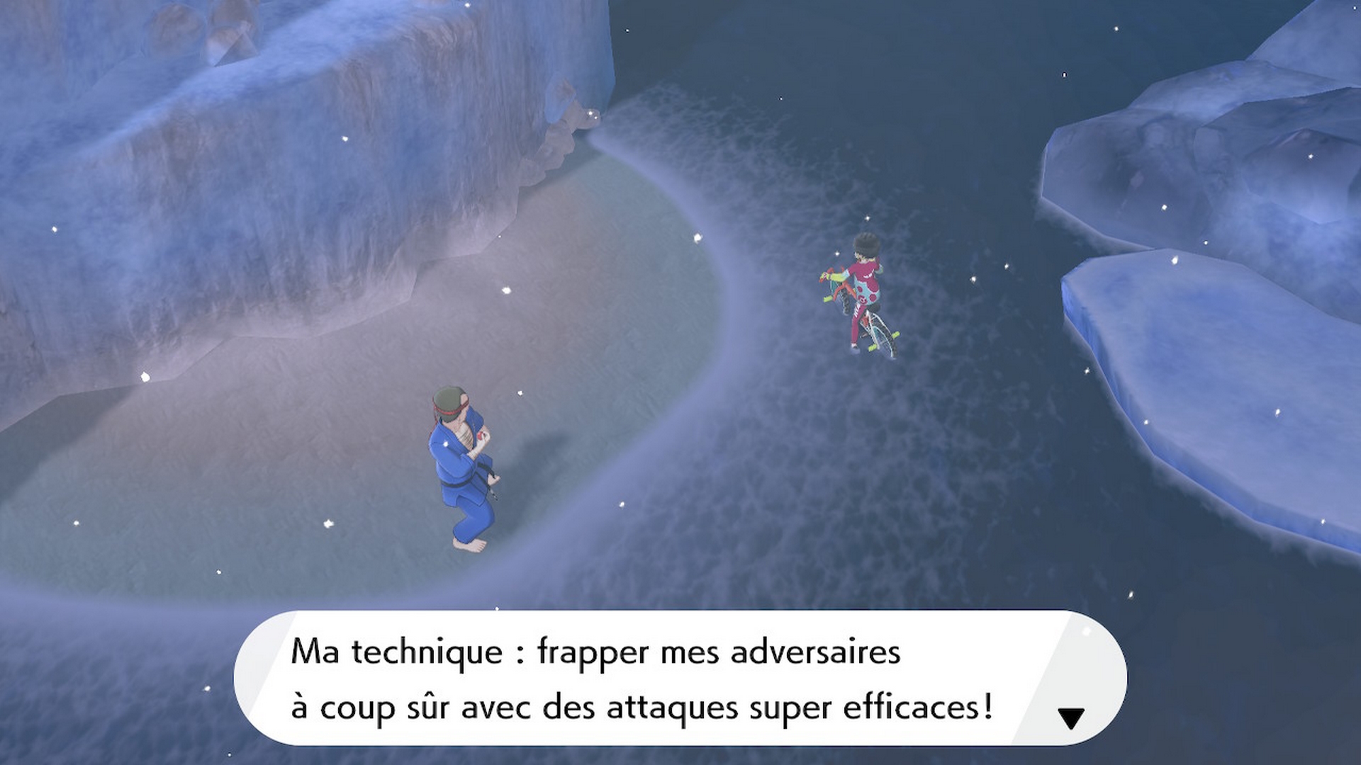 Pokémon épée bouclier baie de ludester dresseur