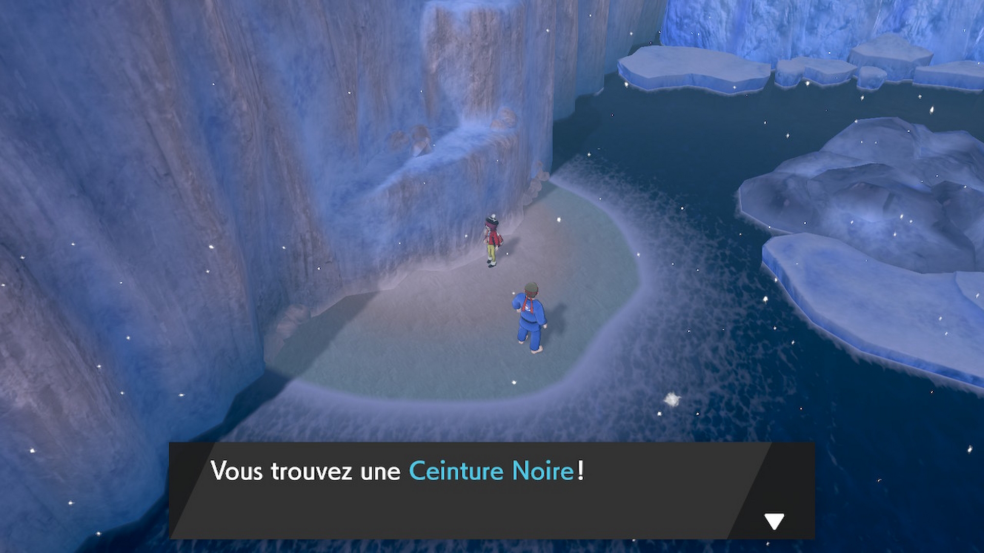 Pokémon épée bouclier baie de ludester ceinture noire