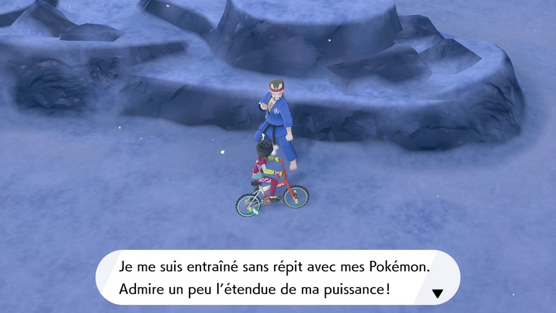 Pokémon épée bouclier baie de ludester dresseur