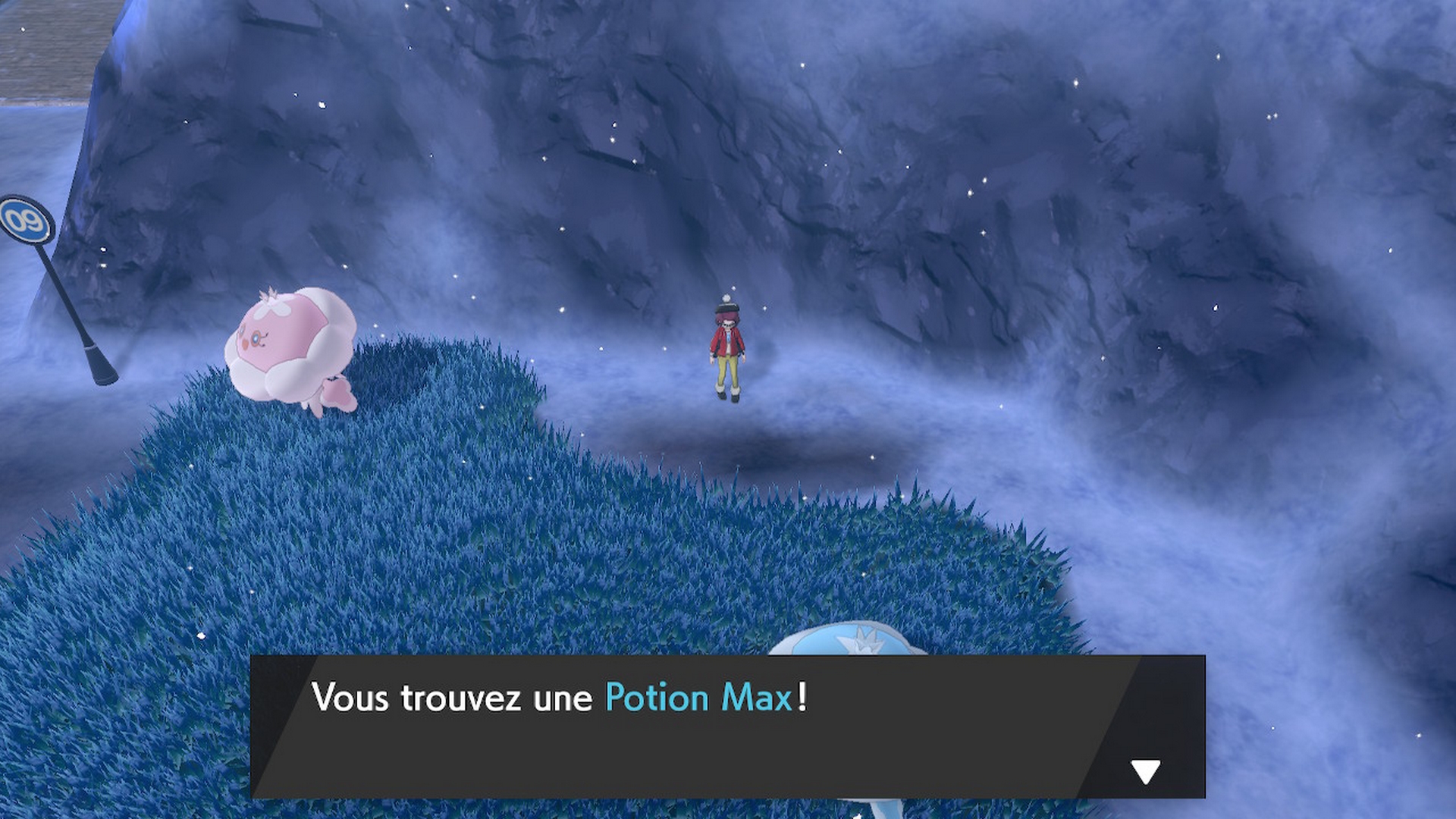Pokémon épée bouclier baie de ludester potion max