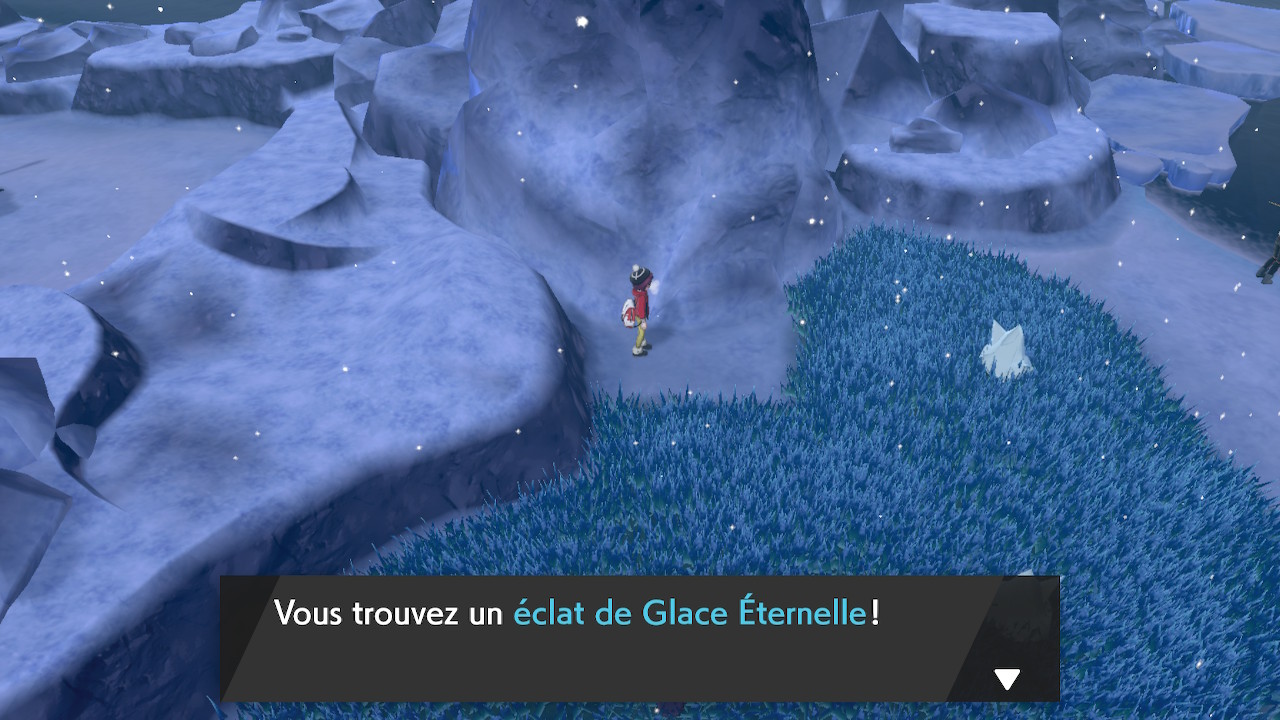 Pokémon épée bouclier baie de ludester glace eternelle