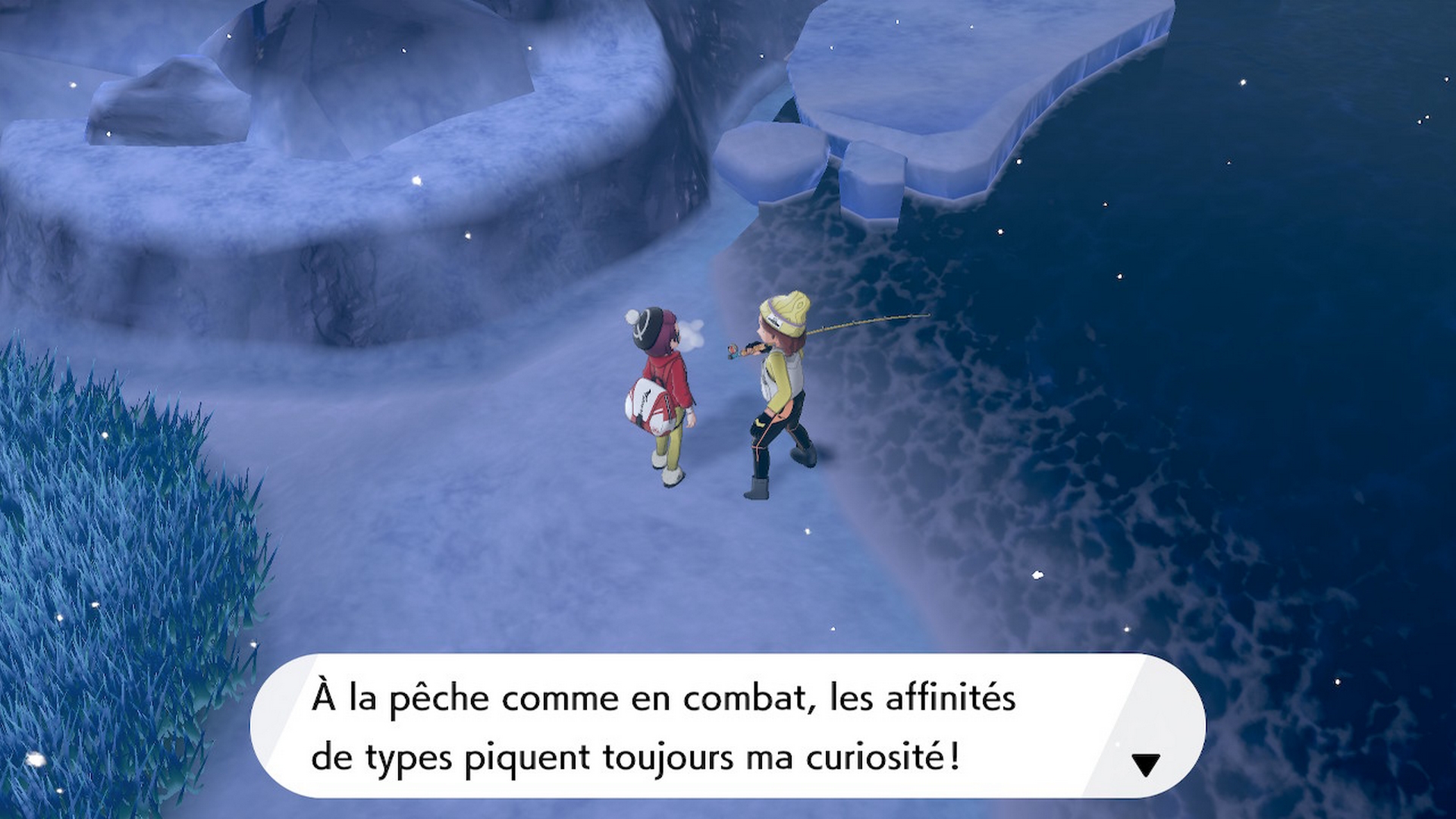 Pokémon épée bouclier baie de ludester dresseur