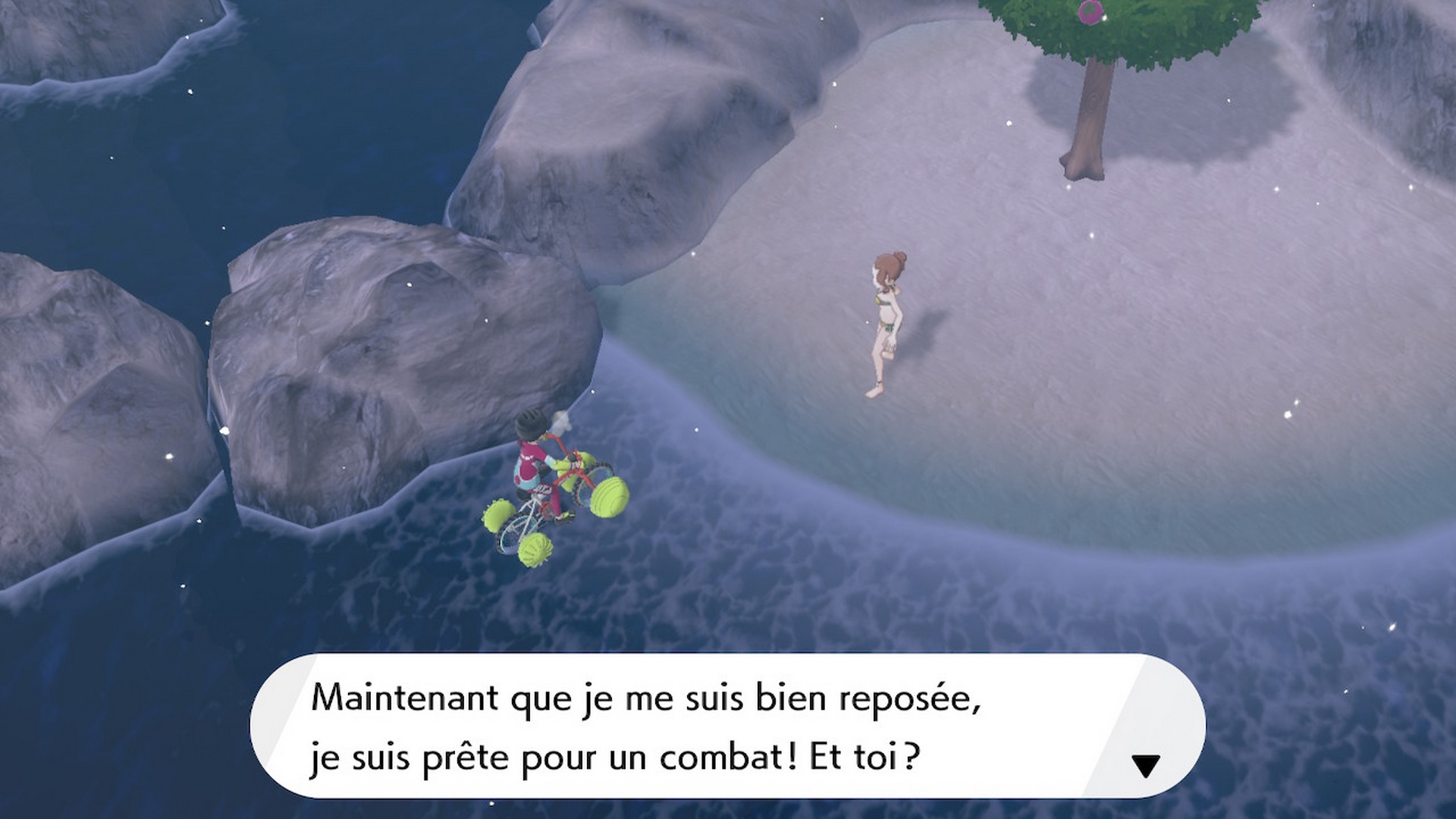 Pokémon épée bouclier baie de ludester dresseur