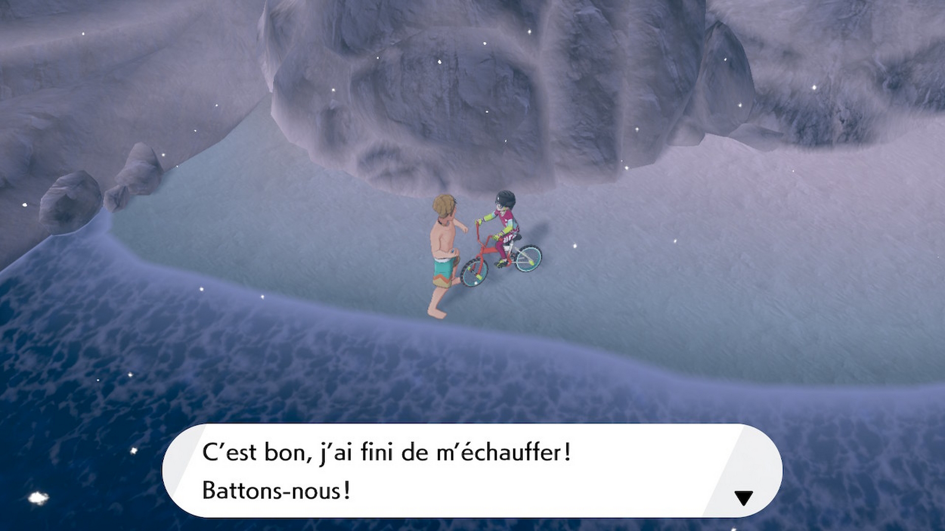 Pokémon épée bouclier baie de ludester dresseur