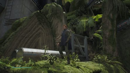 Image d'illustration pour l'article : Kashyyyk : Tous les Secrets et Échos - Star Wars Jedi Fallen Order