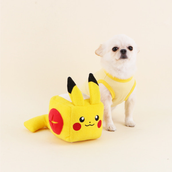 Pokémon doggo