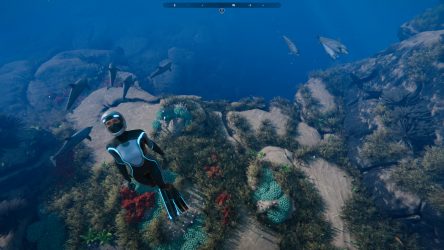 Image d'illustration pour l'article : Beyond Blue arrivera finalement le 11 juin sur PC et consoles