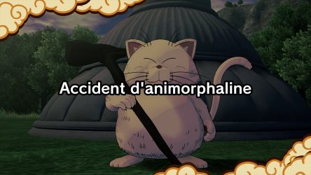 Image d'illustration pour l'article : Accident d'animorphaline - Dragon Ball Z : Kakarot