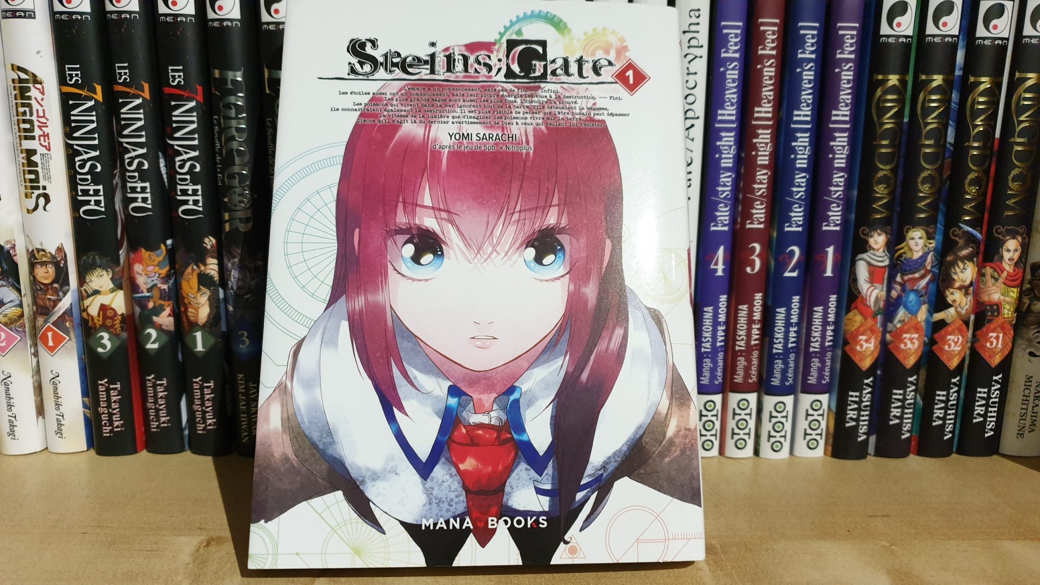 Steins;Gate : Avis sur le premier tome de Mana Books