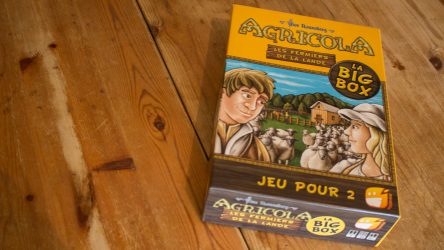 Image d'illustration pour l'article : Agricola 2 joueurs - Les Fermiers de la Lande