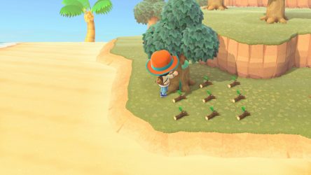 Image d'illustration pour l'article : Comment trouver des branches d'arbre - Animal Crossing New Horizons