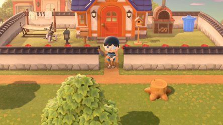 Image d'illustration pour l'article : Changer rapidement d'outil - Animal Crossing New Horizons