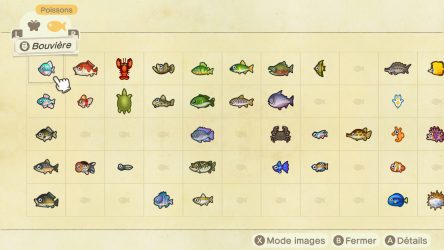 Image d'illustration pour l'article : Liste des poissons - Animal Crossing New Horizons