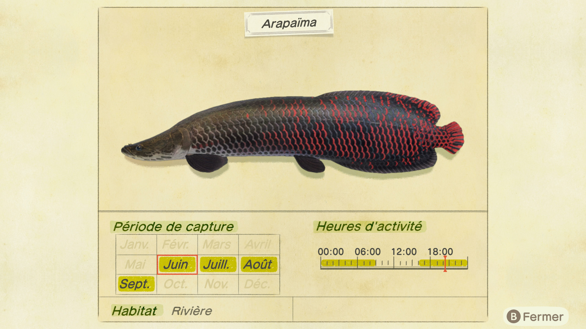 Liste des poissons - arapaïma - animal crossing new horizons