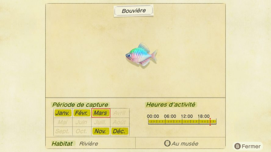 Liste Des Poissons Animal Crossing New Horizon www.actugaming.net