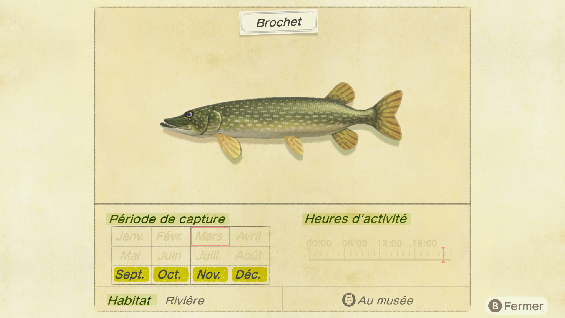 Liste des poissons - brochet - animal crossing new horizons