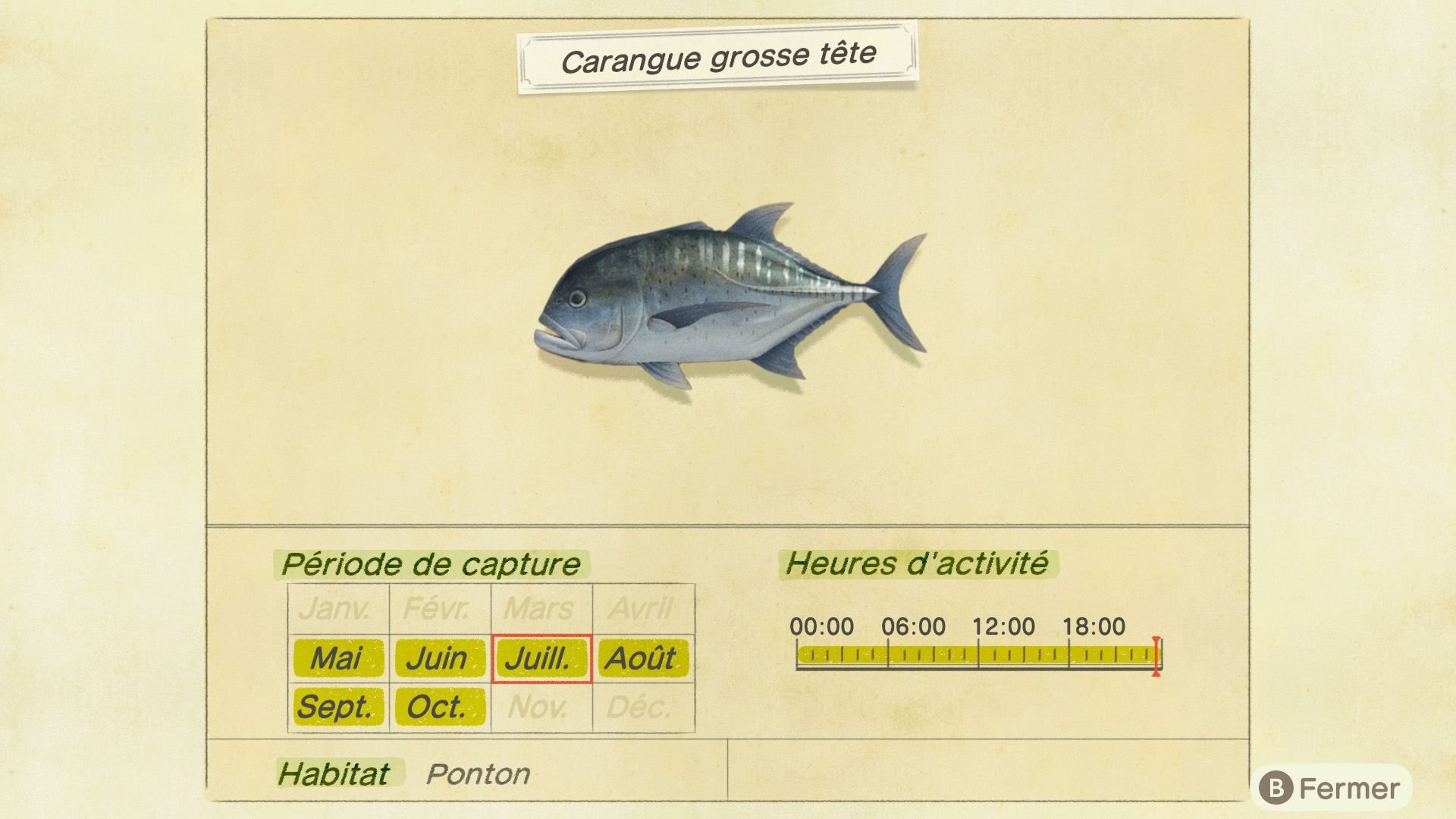 Liste des poissons - carangue grosse tête - animal crossing new horizons