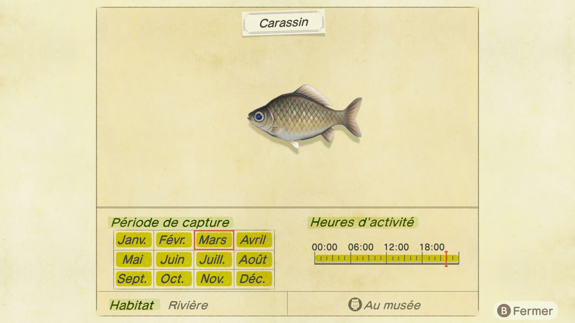 Liste des poissons - carassin - animal crossing new horizons