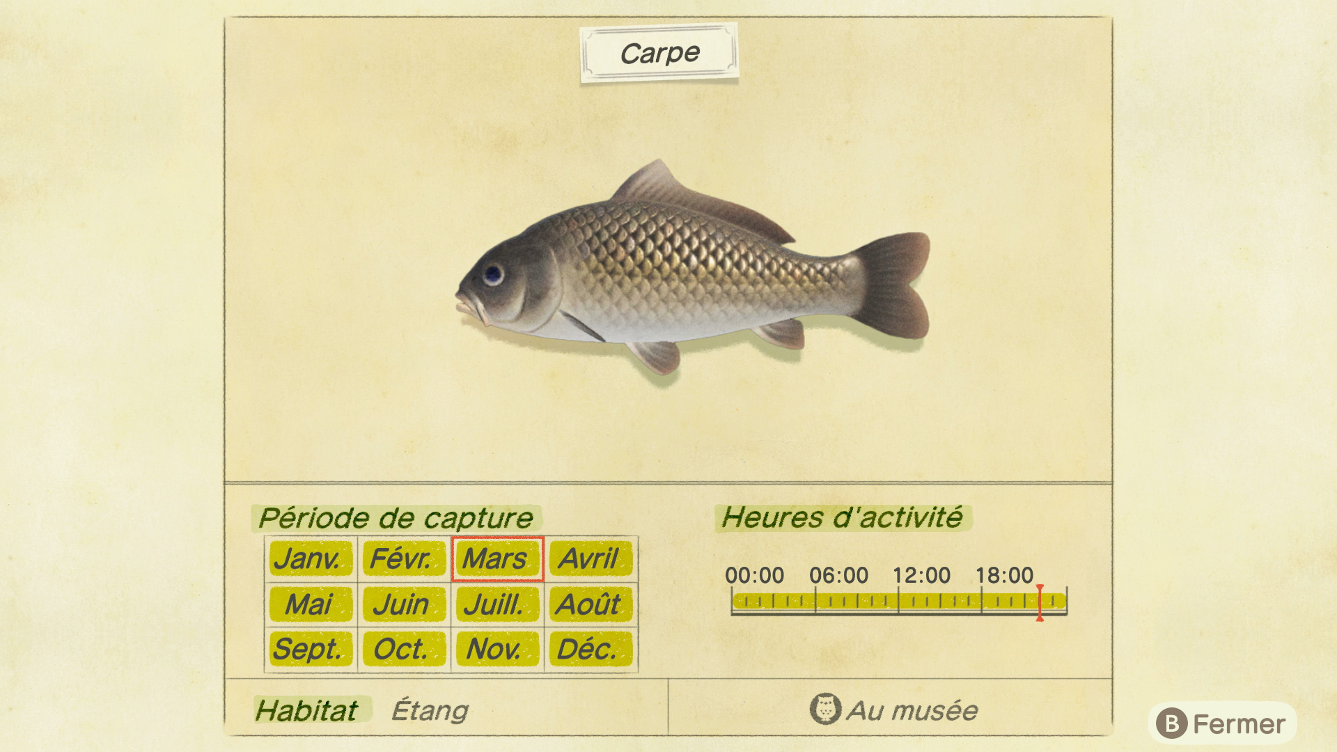 Liste des poissons - carpe - animal crossing new horizons